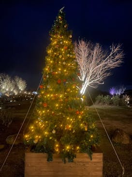 世羅高原農場に投稿された画像（2025/12/22）