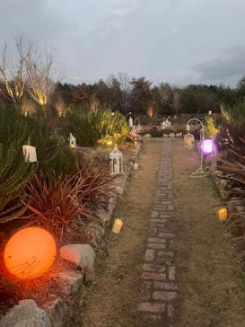 世羅高原農場に投稿された画像（2025/12/22）