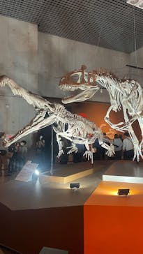 特別展「大絶滅展―生命史のビッグファイブ」に投稿された画像（2025/12/22）