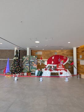 福井県立恐竜博物館に投稿された画像（2025/12/22）