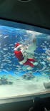 サンシャイン水族館に投稿された画像（2025/12/22）
