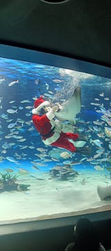 サンシャイン水族館に投稿された画像（2025/12/22）