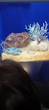 サンシャイン水族館に投稿された画像（2025/12/22）