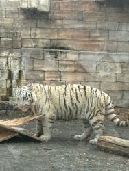 東武動物公園に投稿された画像（2025/12/22）