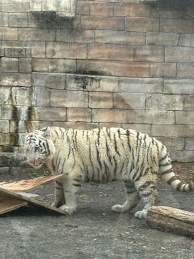 東武動物公園に投稿された画像（2025/12/22）