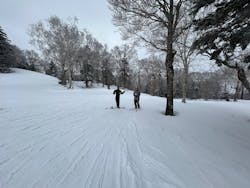 秋田八幡平スキー場に投稿された画像（2025/12/22）