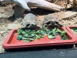 サンシャイン水族館に投稿された画像（2025/12/22）