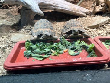サンシャイン水族館に投稿された画像（2025/12/22）