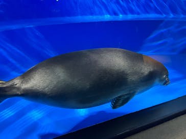 サンシャイン水族館に投稿された画像（2025/12/22）