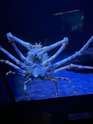 サンシャイン水族館に投稿された画像（2025/12/22）