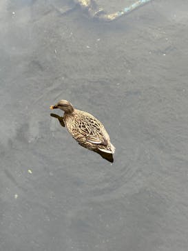 箱根ガラスの森美術館に投稿された画像（2025/12/22）