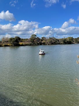 淡路ファームパーク イングランドの丘に投稿された画像（2025/12/22）