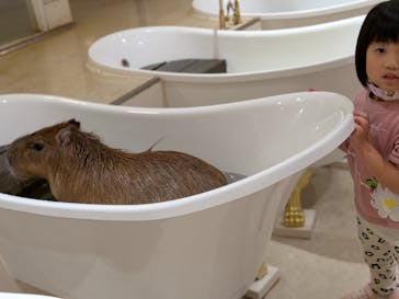 アニタッチららぽーと名古屋みなとアクルスに投稿された画像（2025/12/22）