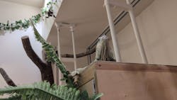 アニタッチららぽーと名古屋みなとアクルスに投稿された画像（2025/12/22）