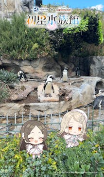サンシャイン水族館に投稿された画像（2025/12/22）