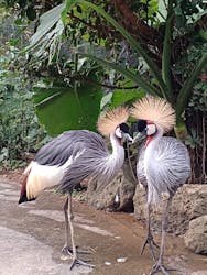 美らヤシパークオキナワ・東南植物楽園に投稿された画像（2025/12/22）