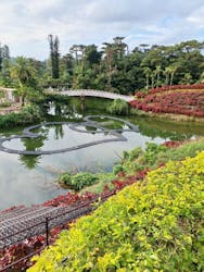 美らヤシパークオキナワ・東南植物楽園に投稿された画像（2025/12/22）