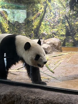恩賜上野動物園に投稿された画像（2025/12/22）