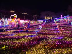 みろくの里に投稿された画像（2025/12/22）