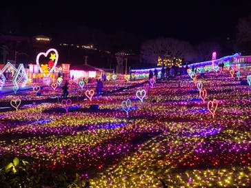 みろくの里に投稿された画像（2025/12/22）