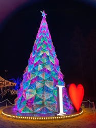 みろくの里に投稿された画像（2025/12/22）