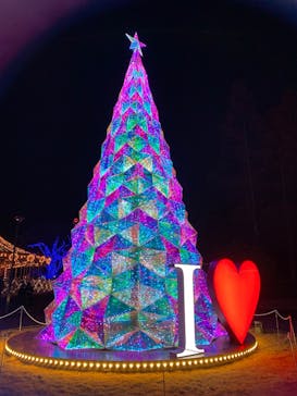 みろくの里に投稿された画像（2025/12/22）