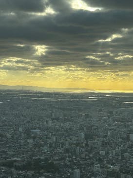 ハルカス300(展望台)に投稿された画像（2025/12/22）