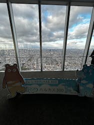 ハルカス300(展望台)に投稿された画像（2025/12/22）