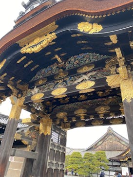 元離宮二条城に投稿された画像（2025/12/22）