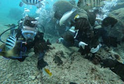 武藤潜水に投稿された画像（2025/12/22）