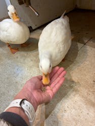 アニタッチららぽーと名古屋みなとアクルスに投稿された画像（2025/12/22）