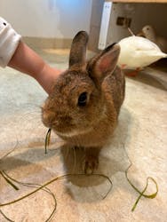 アニタッチららぽーと名古屋みなとアクルスに投稿された画像（2025/12/22）