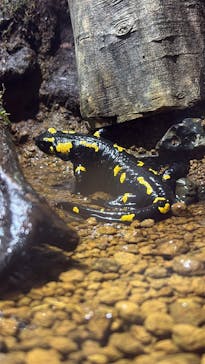 マクセル アクアパーク品川に投稿された画像（2025/12/22）