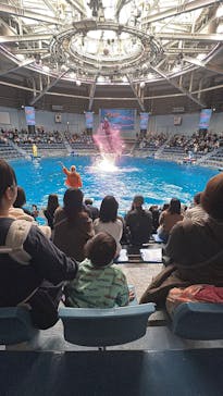 マクセル アクアパーク品川に投稿された画像（2025/12/22）