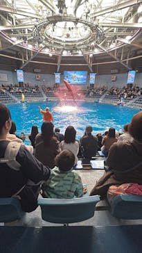 マクセル アクアパーク品川に投稿された画像（2025/12/22）