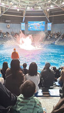 マクセル アクアパーク品川に投稿された画像（2025/12/22）