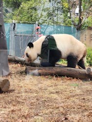 恩賜上野動物園に投稿された画像（2025/12/22）