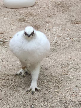 恩賜上野動物園に投稿された画像（2025/12/22）