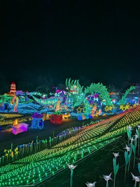 伊豆高原グランイルミに投稿された画像（2025/12/22）