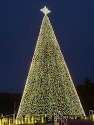 レオマリゾートに投稿された画像（2025/12/22）