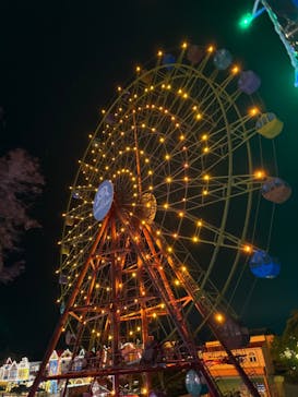 レオマリゾートに投稿された画像（2025/12/22）