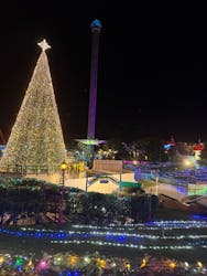 レオマリゾートに投稿された画像（2025/12/22）