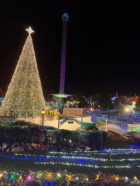 レオマリゾートに投稿された画像（2025/12/22）