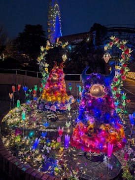 ひらかたパークに投稿された画像（2025/12/22）