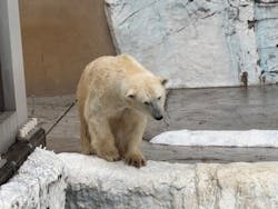恩賜上野動物園に投稿された画像（2025/12/22）