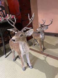 箱根湯寮に投稿された画像（2025/12/22）