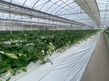 やすださん家のスイーツ園に投稿された画像（2025/12/22）