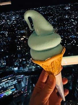 横浜ランドマークタワー 69階展望フロア スカイガーデンに投稿された画像（2025/12/22）