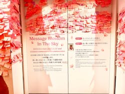 横浜ランドマークタワー 69階展望フロア スカイガーデンに投稿された画像（2025/12/22）