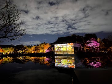 NAKEDヨルマイリ 2025-26 平安神宮に投稿された画像（2025/12/22）